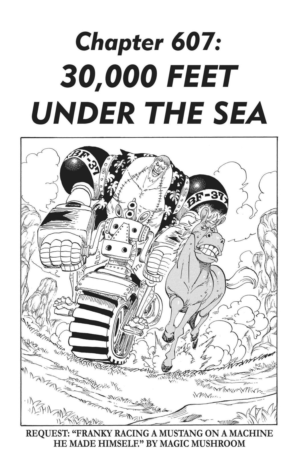 chapter607